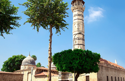 Adana'ya Yola Çık