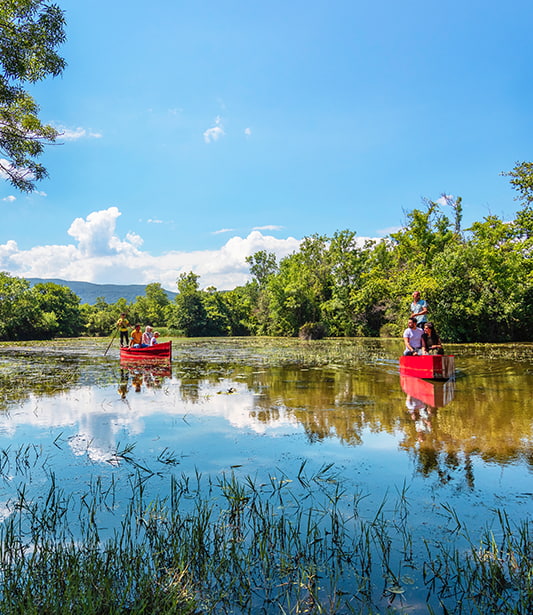 Huzuru Deneyimle; Longoz Ormanları