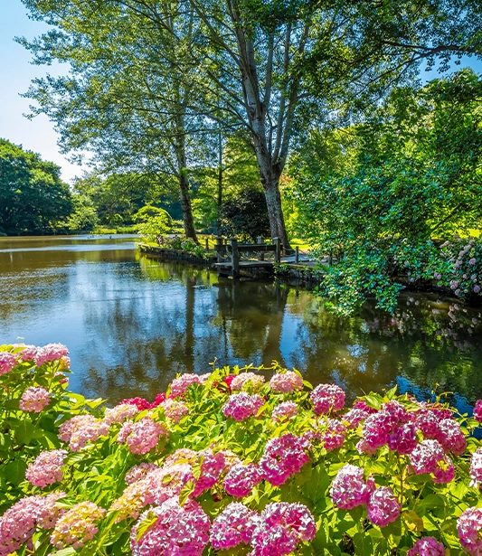 Bu Botanik Bahçelerde Bahar Bir Başka Güzel!